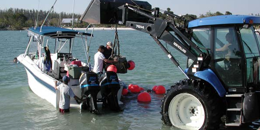 image of reef ball lifting