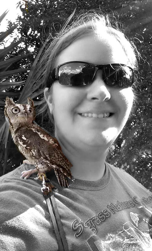 image of ambassador owl on shoulder of handler
